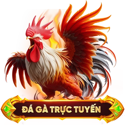 đá gà trực tuyến OK9